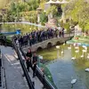 اردوی جذاب علمی آموزشی تفریحی باغ پرندگان